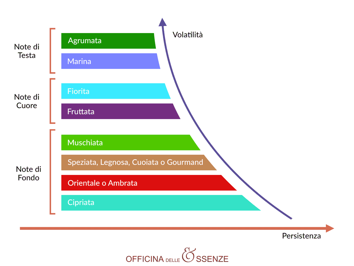 Famiglie olfattive con note di testa, note di cuore e note di fondo