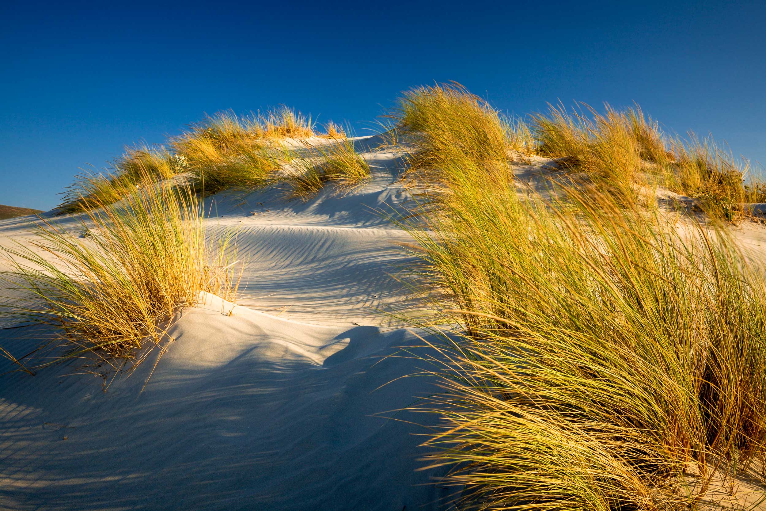 Dune di sabbia in Sardegna